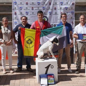 Ganadores Del Campeonato De España De Perros De Muestra 2022